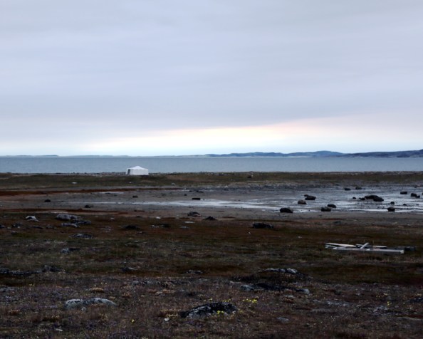 De &laquo;&nbsp;Young people&nbsp;&raquo; à &laquo;&nbsp;Une princesse de l’arctique&nbsp;&raquo;…