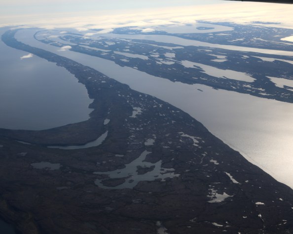 Back to the&nbsp;renard