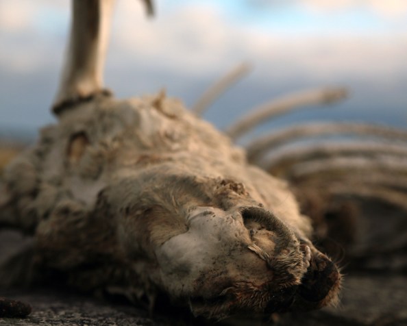 Les week-ends à&nbsp;Inukjuak.