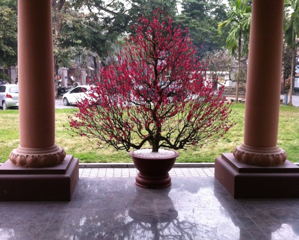 D’Inukjuak à Hanoi